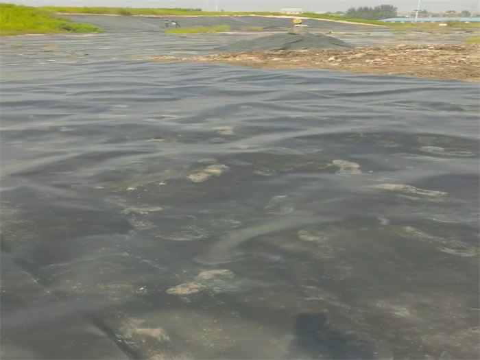 如何延长防渗膜的使用寿命