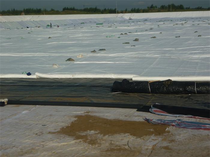 土工布和防渗土工布的区别