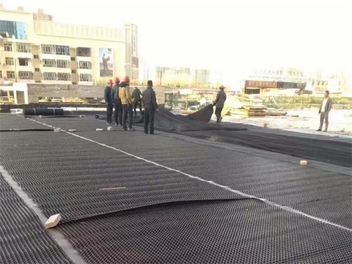 排水板在不同场景中的应用